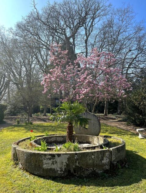 Manoir - 800 m² - 22 pièces