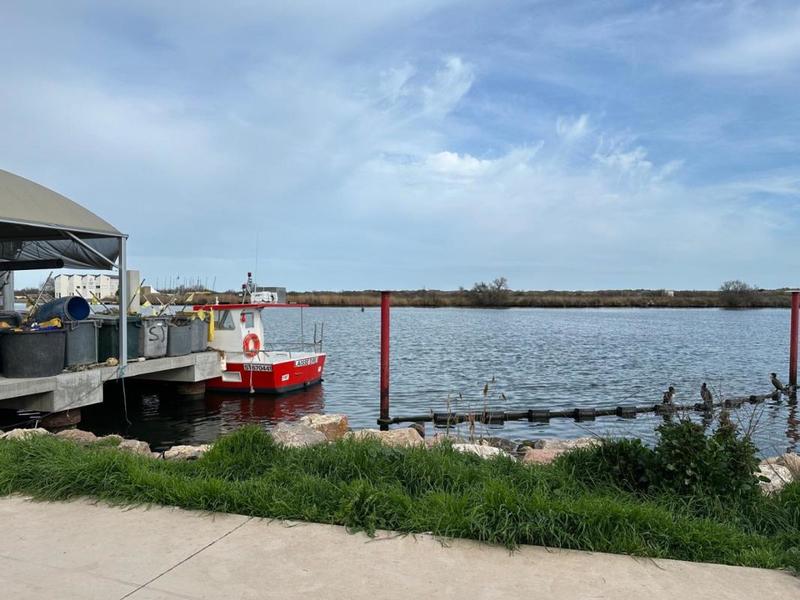 Maison - 85 m² - 3 pièces