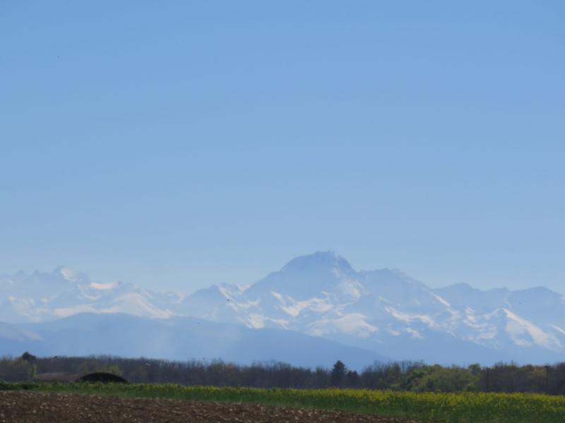 Maison ancienne - 160 m² - 5 pièces