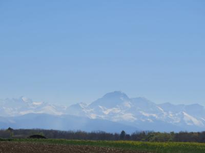 Maison ancienne - 160 m² - 5 pièces