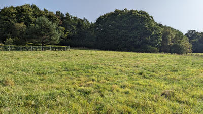 Terrain - 2 350 m²