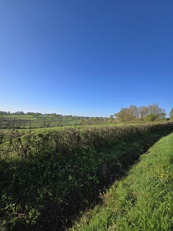 Maison - 90 m² - 3 pièces