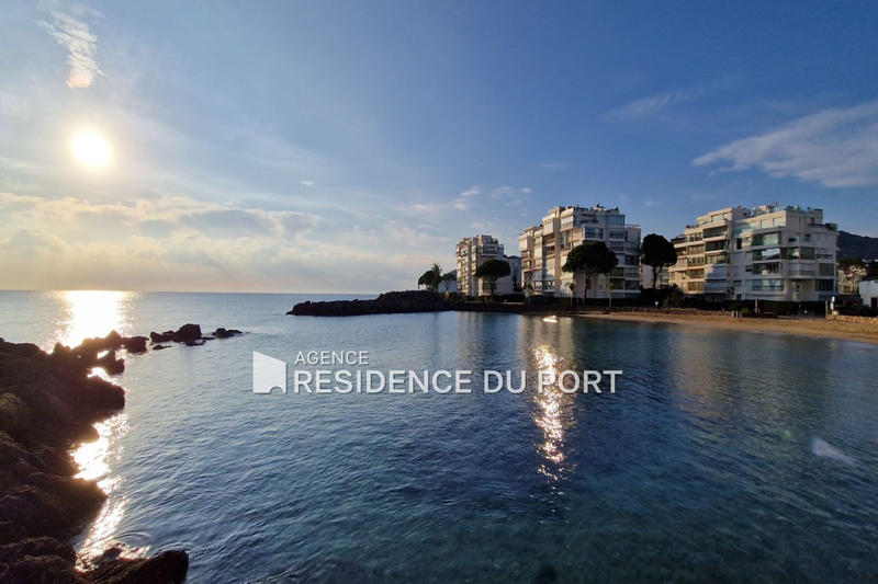 Appartement - 44 m² - 1 pièce