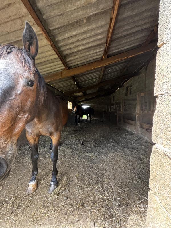 Corps de ferme - 98 m² - 6 pièces