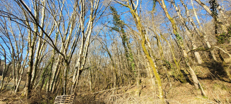 Terrain - 140 000 m²