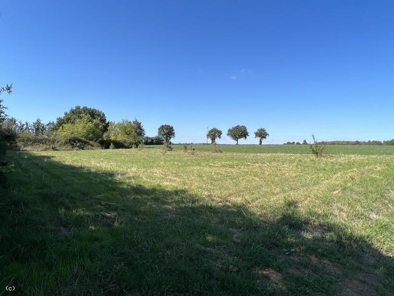 Terrain constructible - 1 776 m²
