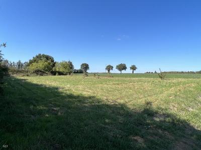 Terrain constructible - 1 776 m²