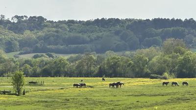 Maison d'architecte - 266 m² - 7 pièces