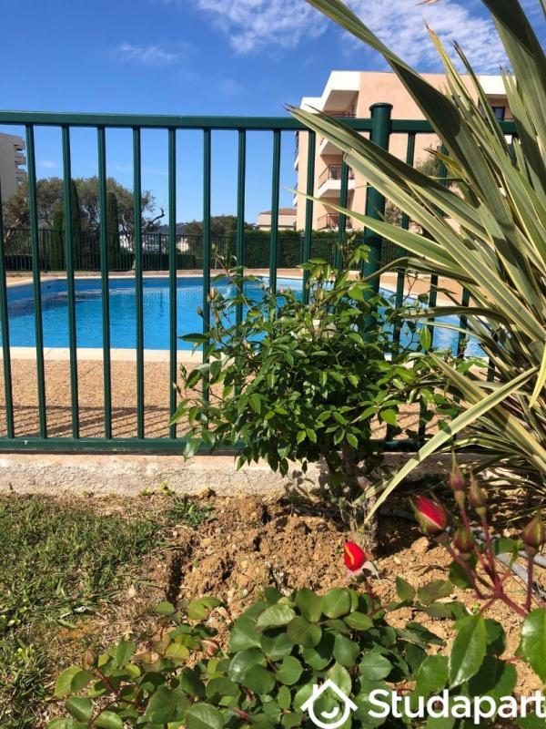 Appartement - 28 m² - 1 pièce