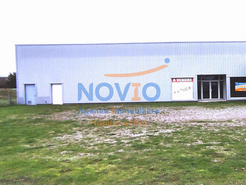 Bureau - 600 m² - 1 pièce