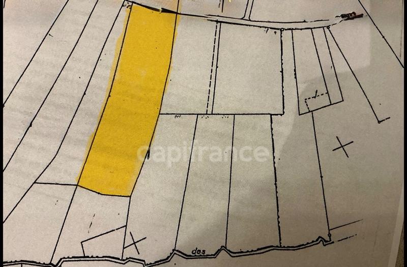 Terrain constructible - 8 600 m²