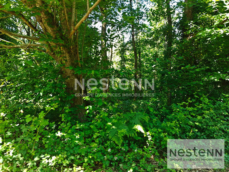 Terrain - 270 000 m²