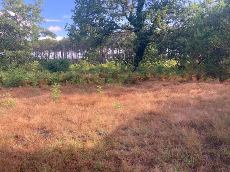 Terrain constructible - 500 m²