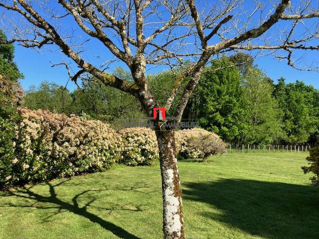 Maison - 189 m² - 7 pièces