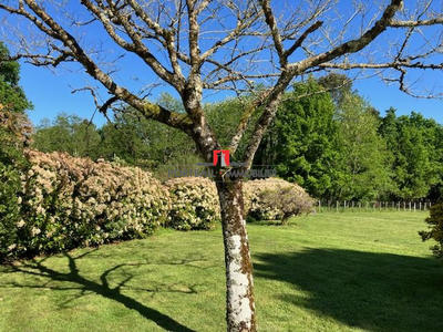 Maison - 189 m² - 7 pièces