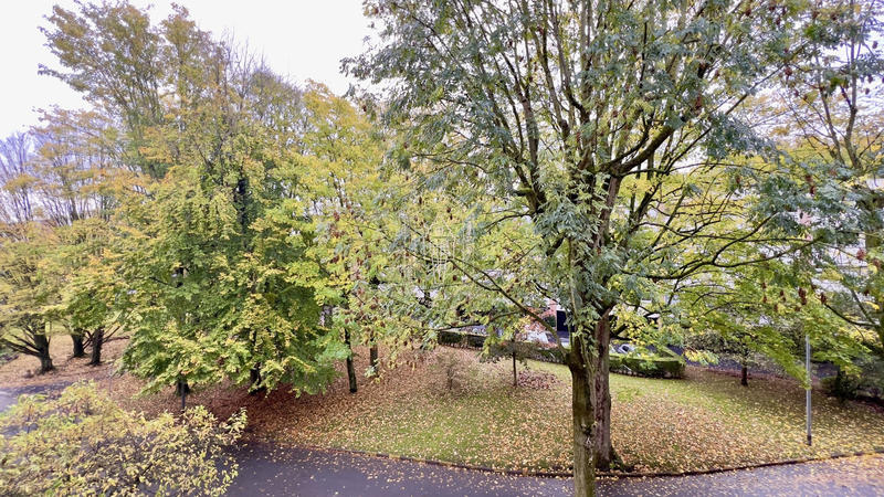 Appartement - 85 m² - 3 pièces