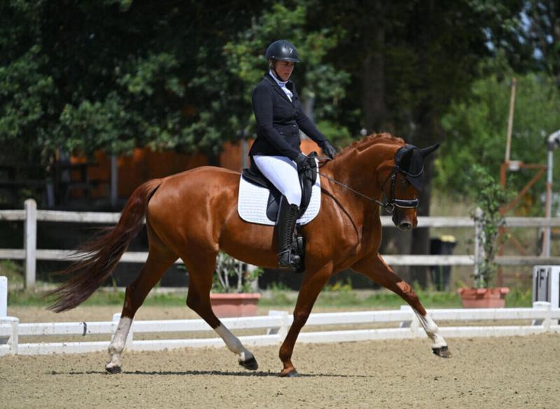 Maison - 210 m² - 10 pièces