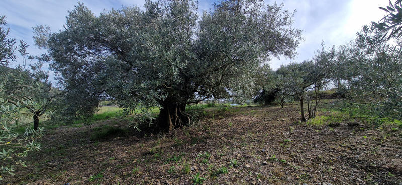 Terrain de loisirs - 20 600 m²