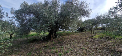 Terrain de loisirs - 20 600 m²