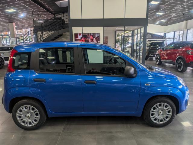Fiat Panda 1.0 70 ch Hybrid Bsg s/S City