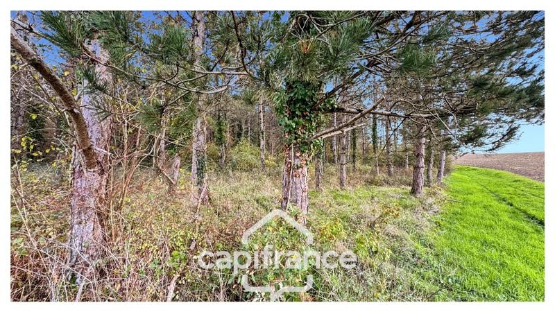 Maison - 30 m² - 1 pièce