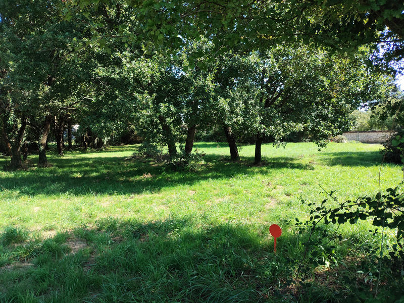 Terrain constructible - 1 227 m²