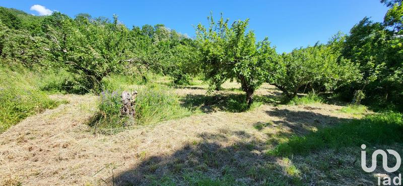 Maison - 300 m² - 13 pièces