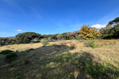 Terrain - 1 334 m²