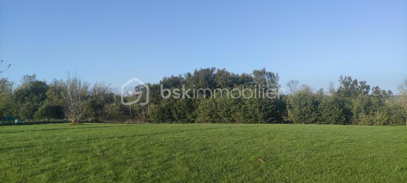 Terrain - 1 360 m²