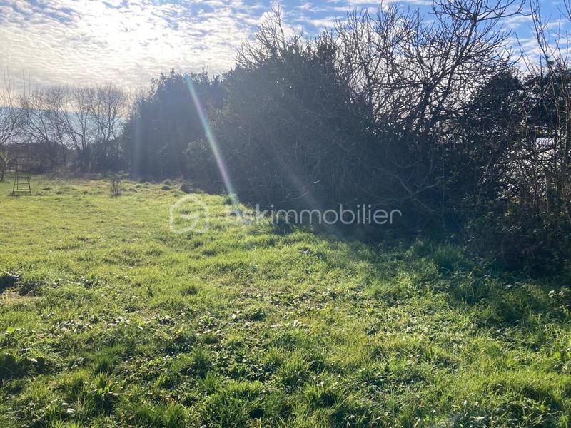 Maison en pierre - 64 m² - 3 pièces