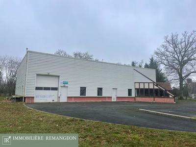 Local d'activité / Entrepôt - 447 m² - 11 pièces