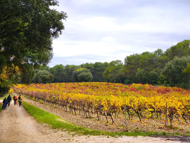 Randonnée de la Courge