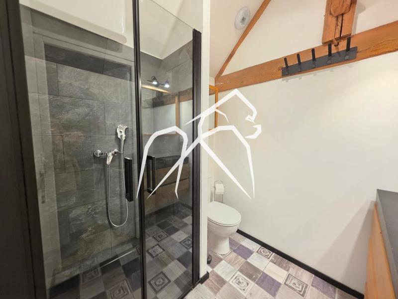 Maison ancienne - 323 m² - 8 pièces