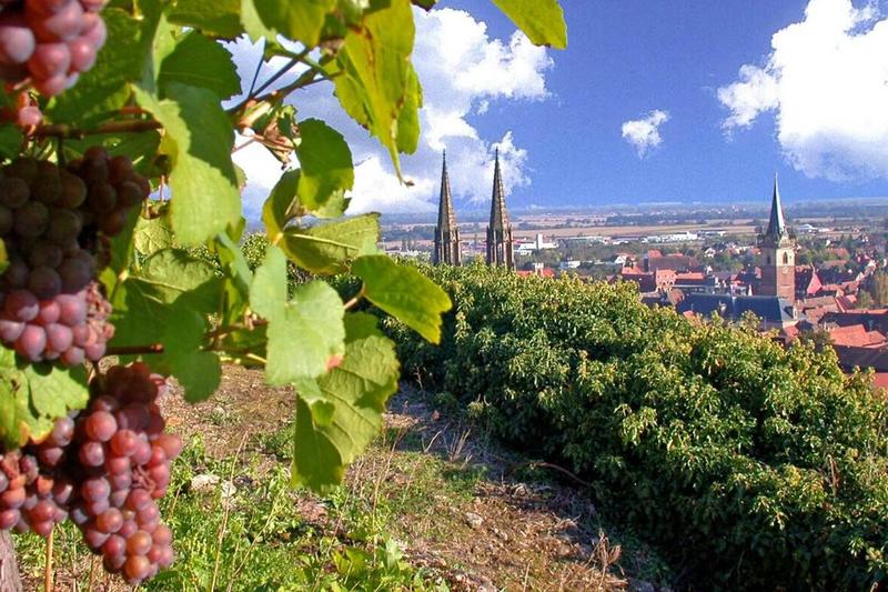 Visites guidées pour groupes