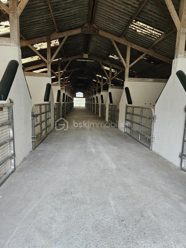 Terrain - 400 000 m²