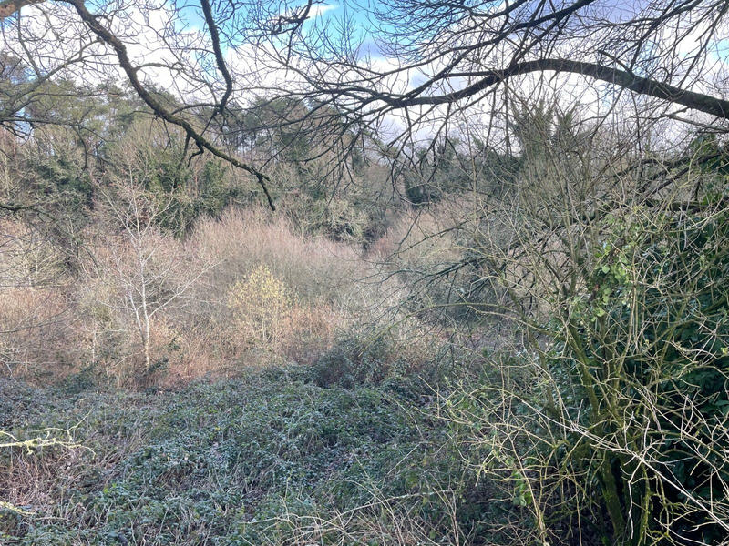 Terrain de loisirs - 9 993 m²