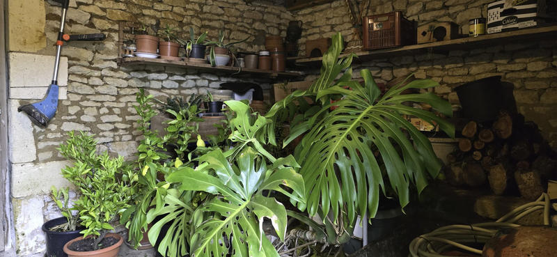 Viager - Maison - 118 m² - 6 pièces