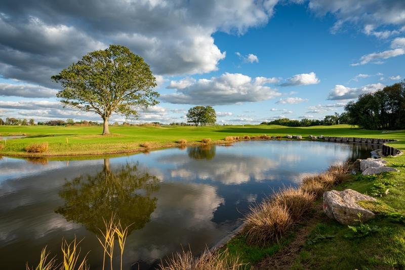 Ouverture du golf aux daims