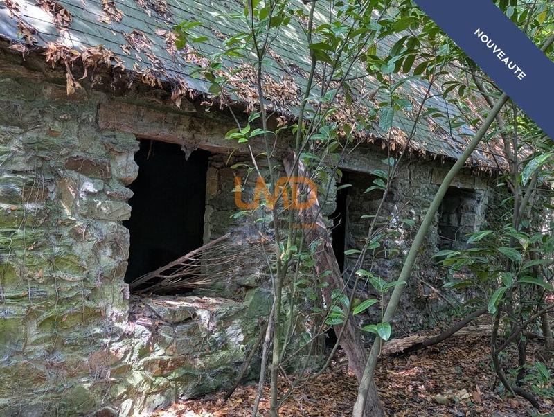 Maison en pierre - 60 m² - 2 pièces