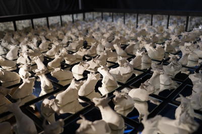 Marguerite - les petites vaches de Belin