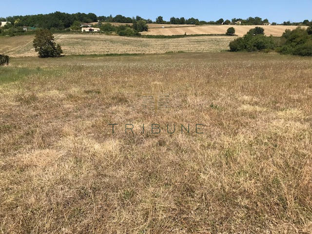 Terrain - 14 300 m²