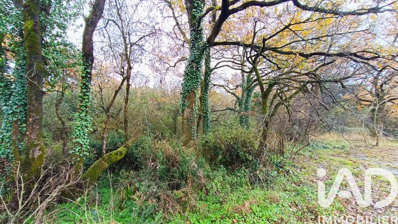 Terrain agricole - 2 160 m²