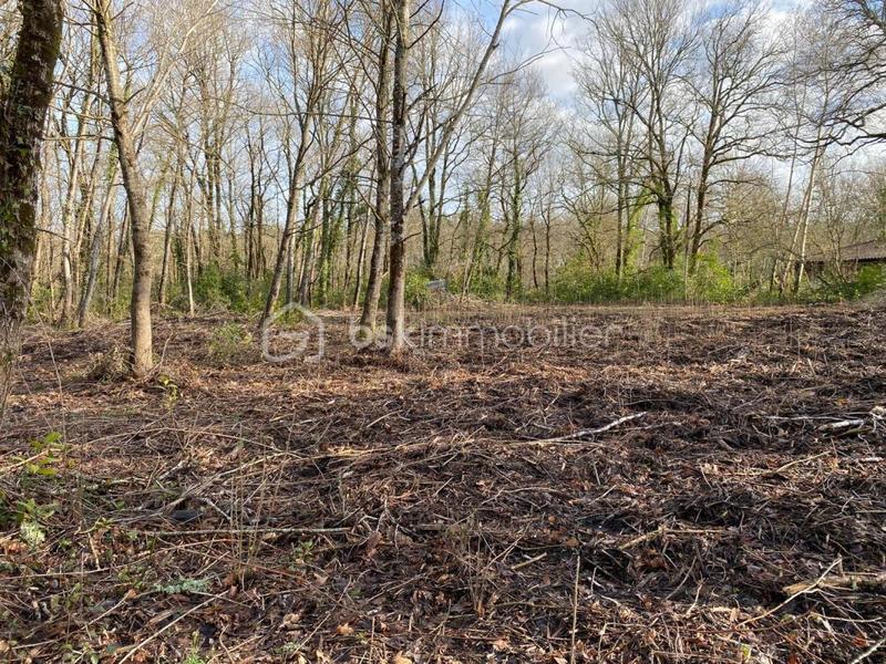 Terrain constructible - 801 m²