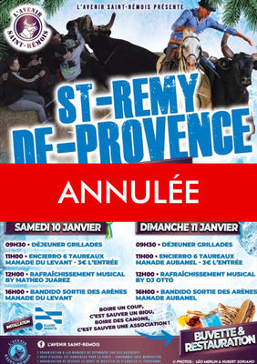 Annulé - Week-end hivernal à Saint-Rémy-de-Provence