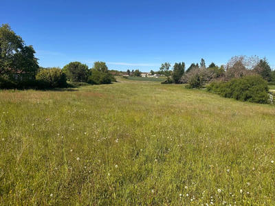 Terrain agricole - 3 100 m²