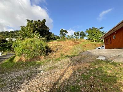 Terrain constructible - 1 111 m²