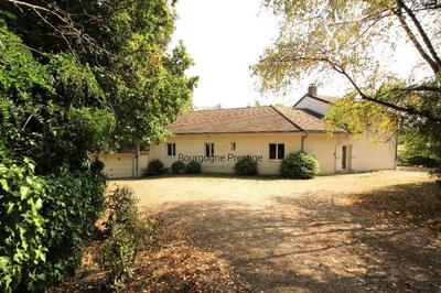 Propriété - 292 m² - 13 pièces