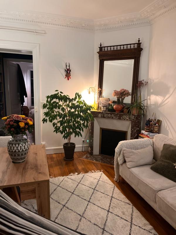 Appartement - 52 m² - 3 pièces