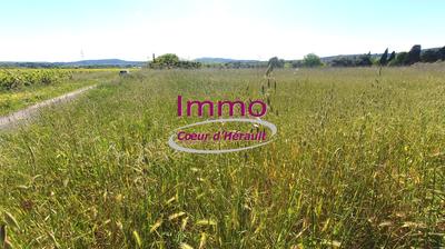 Terrain constructible - 777 m²