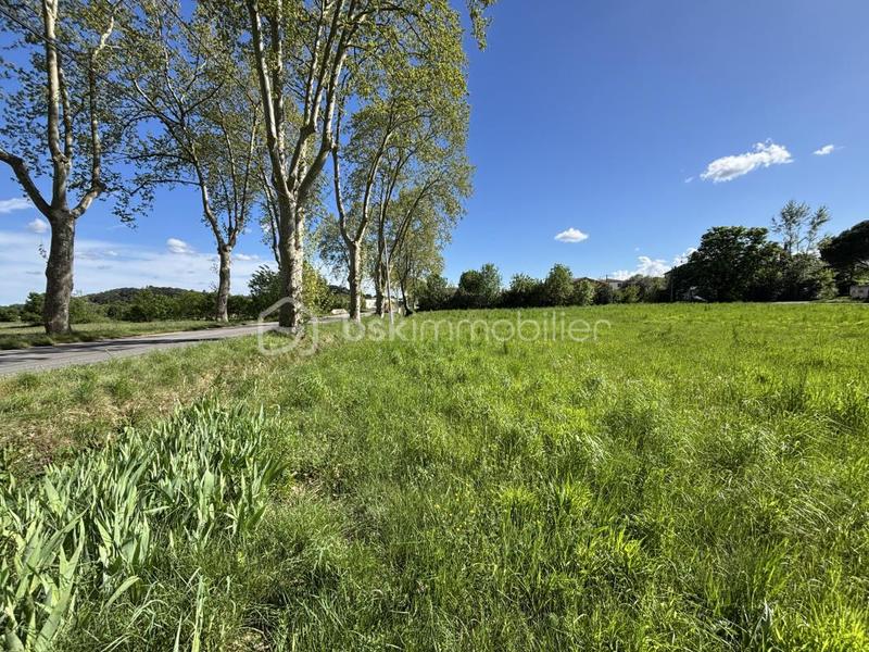Terrain constructible - 1 027 m²